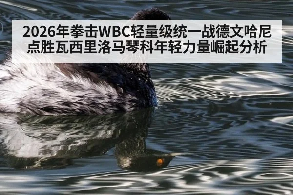 2026年拳击WBC轻量级统一战德文哈尼点胜瓦西里洛马琴科年轻力量崛起分析