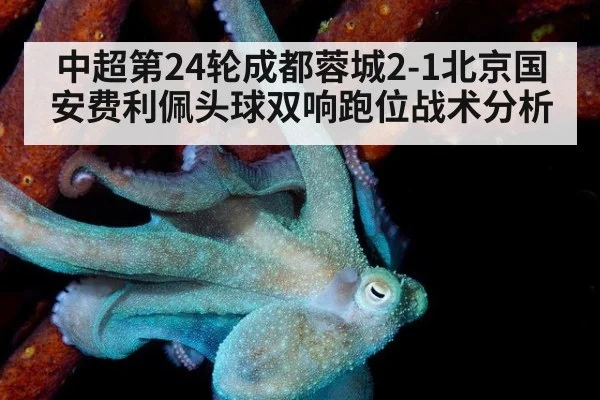 中超第24轮成都蓉城2-1北京国安费利佩头球双响跑位战术分析