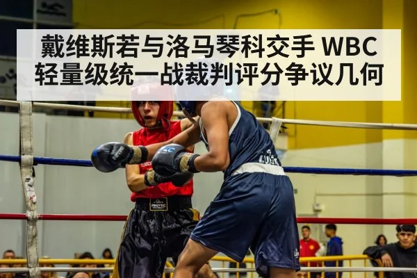戴维斯若与洛马琴科交手 WBC轻量级统一战裁判评分争议几何